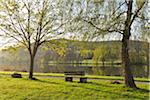 Trees and Riverside Path with Bench by River Main in Spring, Collenberg, Lower Franconia, Spessart, Miltenberg District, Bavaria, Germany