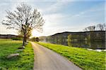 Cycle Path in the Morning with Sun and River Main, Collenberg, Lower Franconia, Spessart, Miltenberg District, Bavaria, Germany