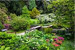 Walkway and gardens, Powerscourt Estate, located in Enniskerry, County Wicklow, Ireland