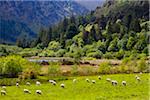 Glendalough, monastic settlement, Wicklow, Ireland