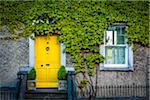 Close-up of ivy covered house with yellow door, Kilkenny, Ireland