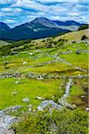 Scenic view of fields and mountains along the Ring of Kerry, County Kerry, Ireland