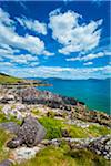 Scenic, coastal view, O'Carrolls Cove, along the Ring of Kerry, County Kerry, Ireland