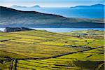 Scenic overview of farmland, Portmagee, along the Skellig Coast on the Ring of Kerry, County Kerry, Ireland