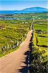 Road and scenic overview of farmland, Portmagee along the Skellig Coast on the Ring of Kerry, County Kerry, Ireland