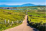 Road and scenic overview, Portmagee along the Skellig Coast on the Ring of Kerry, County Kerry, Ireland