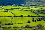 Scenic overview of farmland near Dingle, County Kerry, Ireland