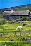 Famine Cottages, Slea Head Drive, Dingle Peninsula, County Kerry, Ireland