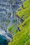 Close-up of the Cliffs of Moher, County Clare, Ireland