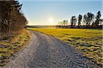 Gravel Path at Sunrise in Spring, Gottersdorf, Neckar-Odenwald-District, Odenwald, Baden Wurttemberg, Germany