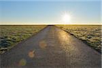 Road with Sun in the Morning, Spring, Gottersdorf, Neckar-Odenwald-District, Odenwald, Baden Wurttemberg, Germany