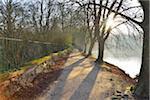 Riverbank Path with Chestnut Trees and Sun, Backhausteich, Jagdschloss Kranichstein, Darmstadt, Hesse, Germany