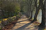 Bank Path with Chestnut Trees, Backhausteich, Jagdschloss Kranichstein, Darmstadt, Hesse, Germany