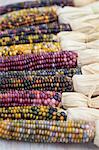 Various coloured corncobs