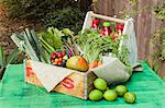 A wooden crate of fruit and vegetables on a rustic garden table