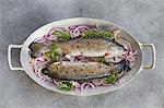 Fresh trout on red onions and rosemary