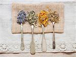 Dried medicinal herbs: lavender (lavandula), meadowsweet (filipendula ulmaria), agrimony (agrimoniae herba) and marigold (calendula officinalis) on silver spoons