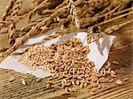 Ears of spelt, spelt seeds and spelt groats on a wooden surface