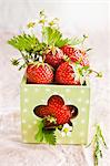 Fresh strawberries in a square vase