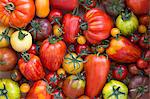 Various Heirloom tomatoes (seen from above)