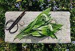 Fresh wild garlic and flowers on a wooden table in a garden