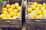 Fresh lemons in wooden crates