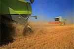 Combine harvesters in field, Slavonia, Croatia