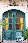 Cute black and white cats huddled together on doorstep of house in village of Peroulades, Northern Corfu, Greek Islands, Greece, Europe