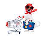 crazy and silly  jack russell dog diva lady with bag pushing  empty supermarket cart , isolated on white background