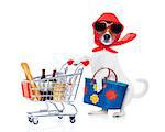 crazy and silly  jack russell dog diva lady with bag pushing  full of products supermarket cart , isolated on white background