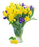 bunch of fresh spring yellow daffodils, irises  and tulips in glass vase isolated on white background