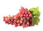 grapes bunch isolated on the white background