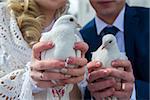 pigeons in the hands of the newlyweds