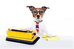 jack russell secretary dog typing on a typewriter keyboard  a note pad and pencil beside, isolated on white background