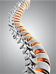 3D render of a close up of a spine with the discs highlighted