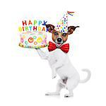jack russell dog holding a happy birthday cake with candels , red tie and party hat on , isolated on white background