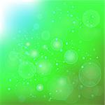 Abstract Natural  Blurred Green Background for Your Design