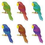 Set colorful clever speaking colored parrots sits on a wooden pole. Vector