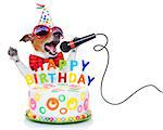 jack russell dog  as a surprise, singing birthday song  like karaoke with microphone ,behind funny cake,  wearing  red tie and party hat  , isolated on white background