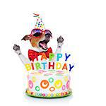 jack russell dog  as a surprise, singing birthday song  ,behind funny cake,  wearing  red tie and party hat  , isolated on white background