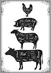 vector diagram cut carcasses of chicken, pig, cow, lamb