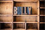 The word BULLY written in vintage wooden letterpress type in a wooden type drawer.