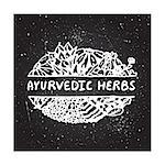 Ayurvedic herbs - zentangle element on chalkboard background