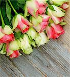 Corner Border of Beauty Pink And White Roses closeup on Rustic Wooden background