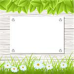 Wall with a piece of paper and green grass and leaves. Vector illustration.