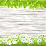 Wood wall with green grass and leaves. Vector illustration.