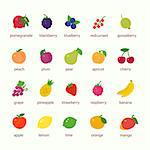 Vector illustrations of food for picnic and cooking