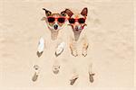couple of two dogs  buried in the sand at the beach on summer vacation holidays , having fun and enjoying ,wearing red sunglasses