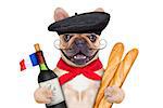 french bulldog with red wine and baguette and french  beret hat, isolated on white background