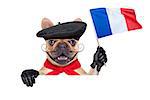 french bulldog wearing   beret hat, isolated on white background, waving a flag of france, behind white and blank banner or placard